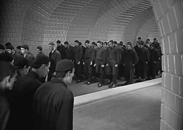 decorative image only