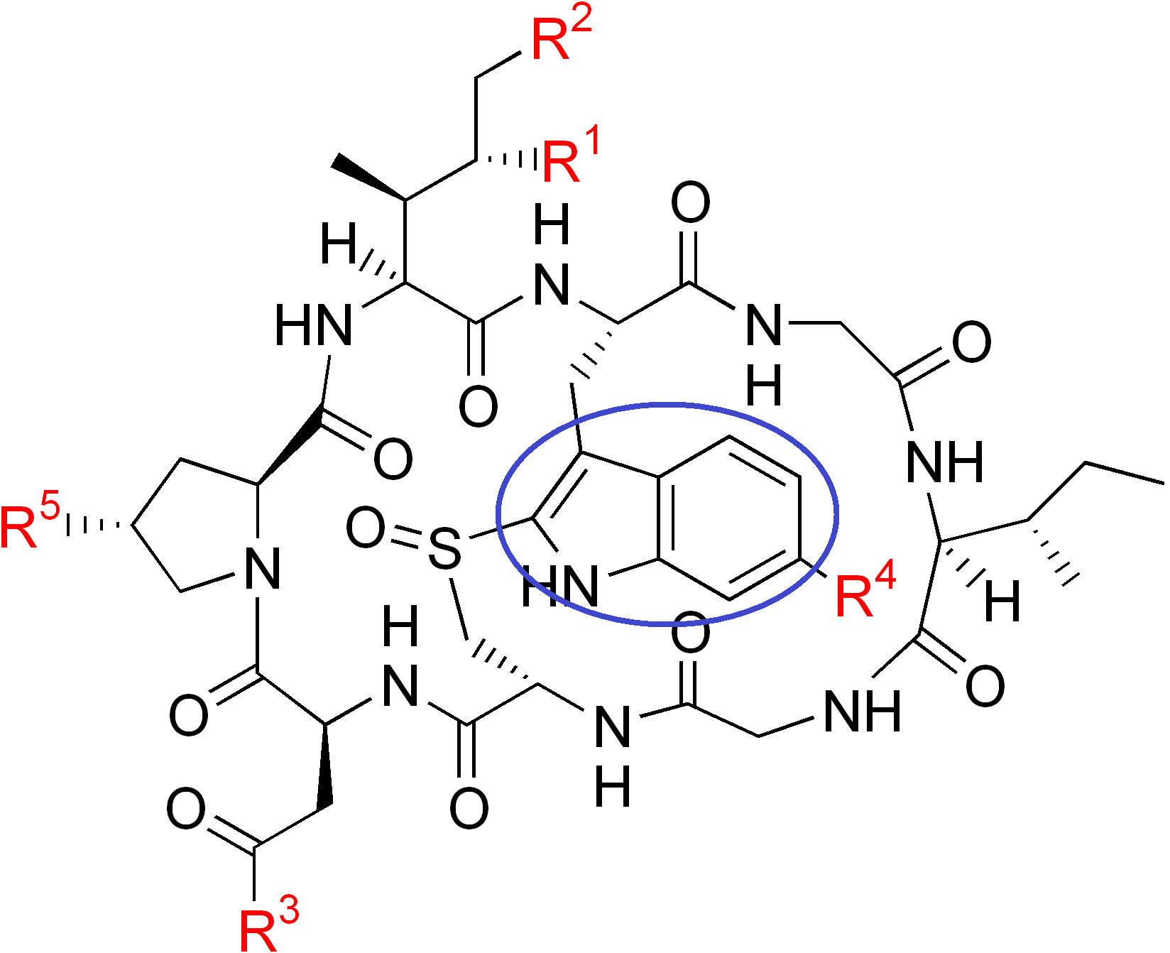 Amatoxin structure with indole described