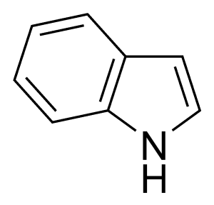 Skeletal structure of an indole structure
