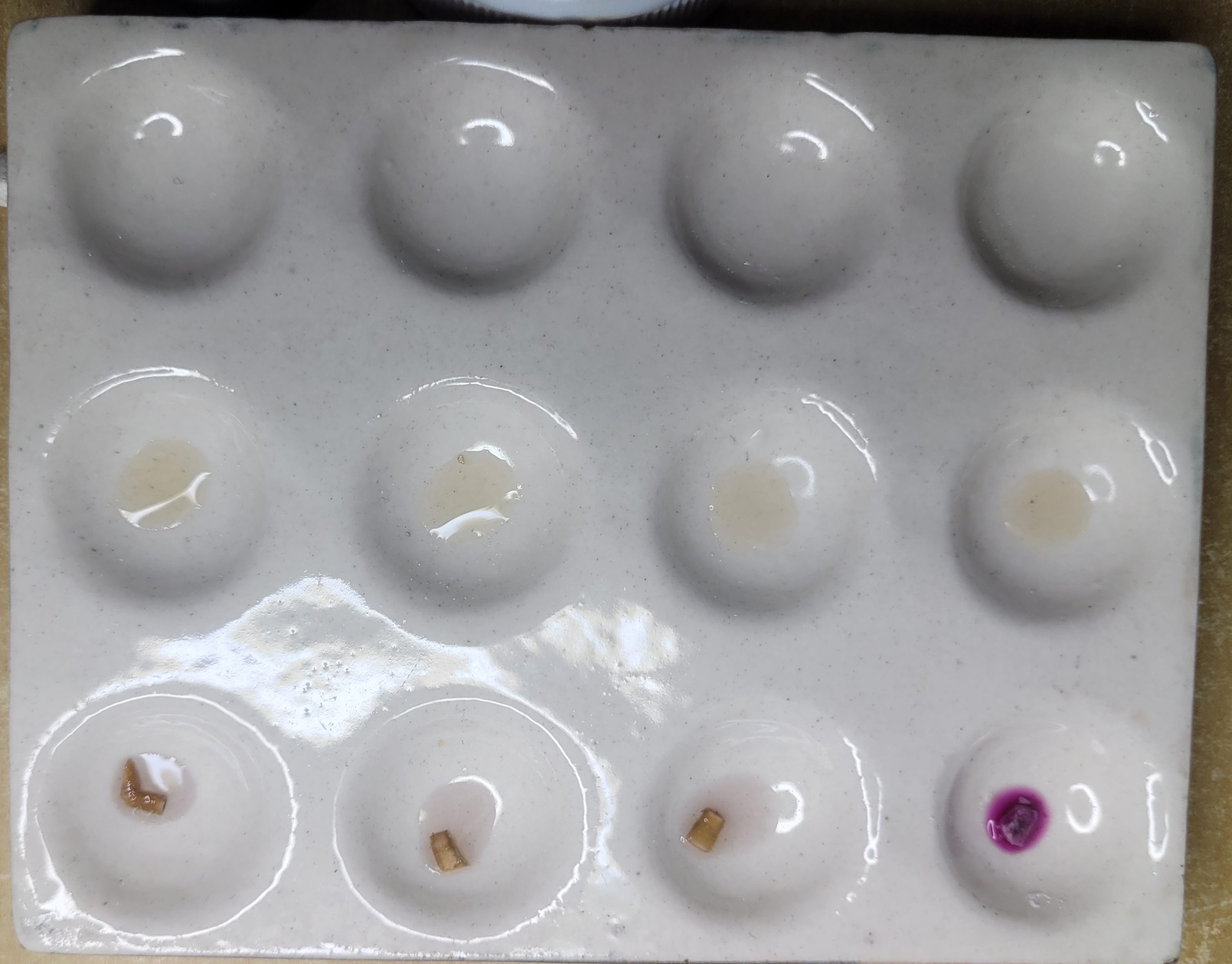 Psilocybe subaeruginosa not reacting to Ehrlich reagent